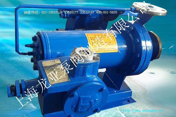 B型基本型化工屏蔽泵 B型基本型化工屏蔽泵,化工屏蔽泵,B型屏蔽泵