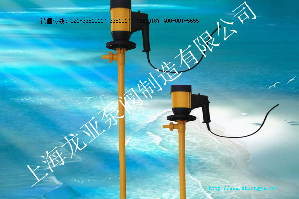 HD系列插桶泵,無軸封插桶泵,可調(diào)速插桶泵,電動抽液泵