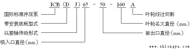 ICB泵的型號意義