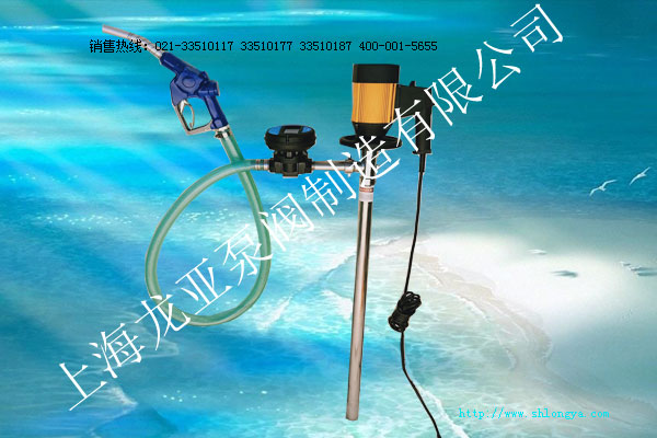 LHDJC計量插桶泵,計量油槍泵,加油泵