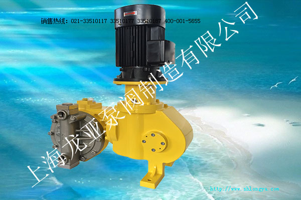 RX系列液壓隔膜計量泵,RX計量泵,液壓隔膜計量泵