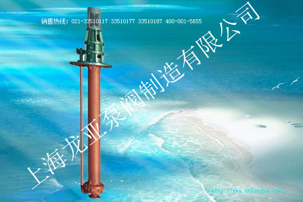 RYL型高溫熔鹽液下泵 RYL液下泵,高溫液下泵,熔鹽液下泵