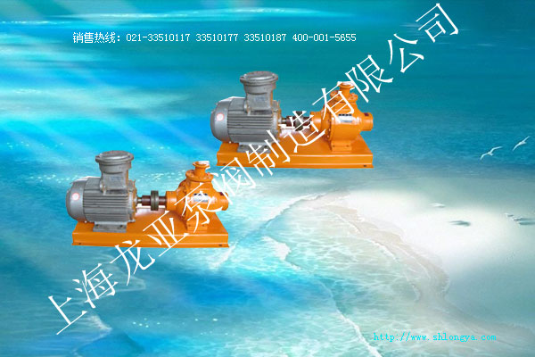 YB系列直聯式液氨泵,YB系列直聯泵,YB系列直液氨泵