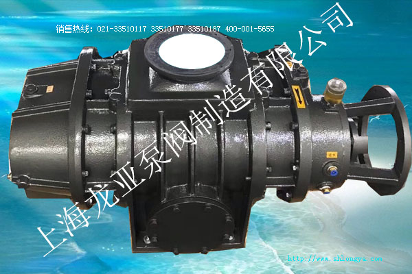 ZJ羅茨真空泵,ZJP羅茨真空泵,羅茨真空泵,羅次真空泵